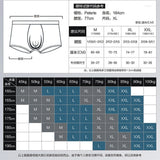 Maxbell Mens Sexy Mesh See Through Rose Flower Boxer Briefs Underwear Blue M - Aladdin Shoppers