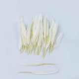 Maxbell 100pcs Dyed Goose Feather Jewelry Decor Headgear DIY Crafts 4-6" Pink&White
