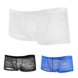 Maxbell Men Sexy lace Boxer Briefs Low Rise Lingerie Mesh Trunks Underwear L white - Aladdin Shoppers