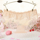 Maxbell Sexy Sheer Mesh Panties Low Rise Briefs Underwear Lingerie Beige - Aladdin Shoppers
