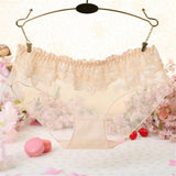 Maxbell Sexy Sheer Mesh Panties Low Rise Briefs Underwear Lingerie Beige - Aladdin Shoppers