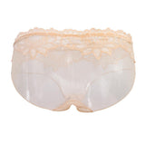Maxbell Sexy Sheer Mesh Panties Low Rise Briefs Underwear Lingerie Beige - Aladdin Shoppers
