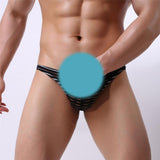 Maxbell Sexy Mens Striped Sheer Mesh Briefs Underwear Stretch Panties L Black - Aladdin Shoppers