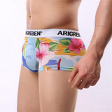 Maxbell Maxbell Mens Sexy Sheer Mesh Net Underwear Boxer Briefs Flower Underpants XL 1