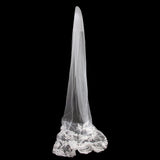 Maxbell 3M Cathedral Flowers Lace Edge Wedding Bridal Veil for Beautiful Bride Ivory - Aladdin Shoppers