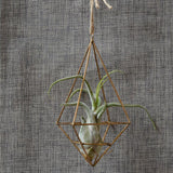 Maxbell DIY Wedding Centrepiece Garden Flower Metal Holder Decoration 5 x 5 x 12.5cm - Aladdin Shoppers
