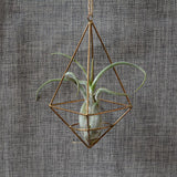 Maxbell DIY Wedding Centrepiece Garden Flower Metal Holder Decoration 5 x 5 x 12.5cm - Aladdin Shoppers