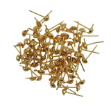 Maxbell 100x Earrings Ear Stud Pin with Loop & Ball DIY Findings Light Gold 12x6mm - Aladdin Shoppers