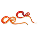 Maxbell Red Spiral Flesh Tunnel Ear Stretcher Expander Stretching Plug Kit 5 mm - Aladdin Shoppers