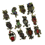 Maxbell 12pcs Assorted Antique Bronze colorful Rhinestone Owl Brooch Pins - Aladdin Shoppers