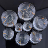 Maxbell 2pcs Dandelion Flower Ear Plug Acrylic Flesh Ear Plug Tunnel Expander 10mm - Aladdin Shoppers