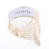 Maxbell Alloy Metal Feather Bracelet Smooth Hollow Hoop Open Ended Wide Cuff Bangle - Aladdin Shoppers