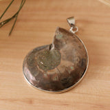 2 Pieces Ammolite Snail Conch Charm Pendant For DIY Sweater Chain Necklace - Aladdin Shoppers