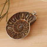 2 Pieces Ammolite Snail Conch Charm Pendant For DIY Sweater Chain Necklace - Aladdin Shoppers