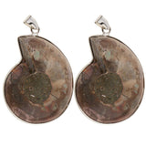 2 Pieces Ammolite Snail Conch Charm Pendant For DIY Sweater Chain Necklace - Aladdin Shoppers
