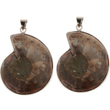 2 Pieces Ammolite Snail Conch Charm Pendant For DIY Sweater Chain Necklace - Aladdin Shoppers