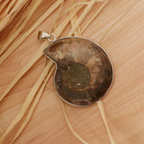 2 Pieces Ammolite Snail Conch Charm Pendant For DIY Sweater Chain Necklace - Aladdin Shoppers