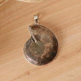 2 Pieces Ammolite Snail Conch Charm Pendant For DIY Sweater Chain Necklace - Aladdin Shoppers