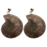 2 Pieces Ammolite Snail Conch Charm Pendant For DIY Sweater Chain Necklace - Aladdin Shoppers