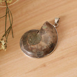 2 Pieces Ammolite Snail Conch Charm Pendant For DIY Sweater Chain Necklace - Aladdin Shoppers