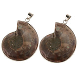 2 Pieces Ammolite Snail Conch Charm Pendant For DIY Sweater Chain Necklace - Aladdin Shoppers