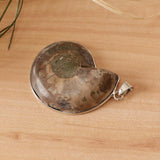 2 Pieces Ammolite Snail Conch Charm Pendant For DIY Sweater Chain Necklace - Aladdin Shoppers