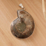 2 Pieces Ammolite Snail Conch Charm Pendant For DIY Sweater Chain Necklace - Aladdin Shoppers