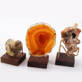 15xMetal Arm Wooden Base Display Stand Rack for Gemstone Mineral Style 02