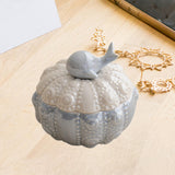 Maxbell Jewelry Storage Case Modern Trinket Case Ring Case for Dresser Dorm Bathroom Light Blue