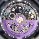 Maxbell Watch Rotor Replace Component Lightweight Automatic Rotor for NH39 7S36 Purple