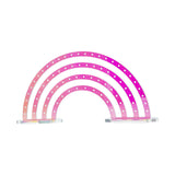 Maxbell Earrings Display Stand Dresser Ear Studs Holder for Jewelry Shop Vanity Home Colorful