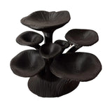 Maxbell Jewelry Display Tray Women Jewelry Organizer for Earrings Necklaces Pendants