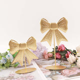 Maxbell Earring Organizer Decorative Jewelry Display Stand for Home Countertop Shows L