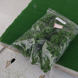 Maxbell 20pcs Green Model Trees 1:100 9cm B90 9cm Green
