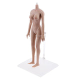 1/6 Scale Seamless Big Busts Female Body Hip Vest Dress for Phicen Kumik Toy