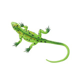 Maxbell Maxbell 2 x Colorful Vivid Reptile Animal Rubber Lizard Model Figure Educational Toy