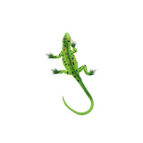 Maxbell Maxbell 2 x Colorful Vivid Reptile Animal Rubber Lizard Model Figure Educational Toy