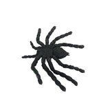 Maxbell Vivid Arthropod Animal Rubber Spider Model Figure Kids Educational Toy - Aladdin Shoppers