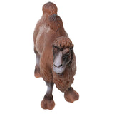 Maxbell Maxbell Realistic Camel Wild Zoo Animal Model Figurine Action Figure Kids Toy Gift