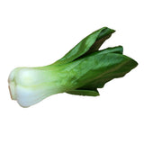 Maxbell 2x Artificial Shanghai Cabbage Imitation Food Store Cabinet Display Decor