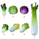 Maxbell 2x Artificial Shanghai Cabbage Imitation Food Store Cabinet Display Decor
