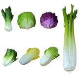 Maxbell 2x Artificial Shanghai Cabbage Imitation Food Store Cabinet Display Decor