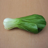 Maxbell 2x Artificial Shanghai Cabbage Imitation Food Store Cabinet Display Decor
