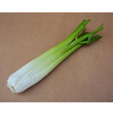Maxbell 2x Artificial Shanghai Cabbage Imitation Food Store Cabinet Display Decor
