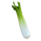 Maxbell 2x Artificial Shanghai Cabbage Imitation Food Store Cabinet Display Decor