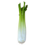 Maxbell 2x Artificial Shanghai Cabbage Imitation Food Store Cabinet Display Decor