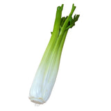 Maxbell 2x Artificial Shanghai Cabbage Imitation Food Store Cabinet Display Decor