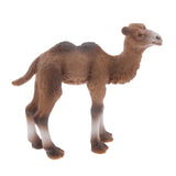 Maxbell Maxbell Realistic Little Camel Wild Zoo Animal Model Figurine Figure Kids Toy Gift