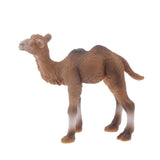 Maxbell Maxbell Realistic Little Camel Wild Zoo Animal Model Figurine Figure Kids Toy Gift