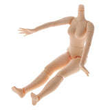 19-Joints Nude Body Parts & 5 Pairs Joints Movable Hand Set for Blythe Dolls